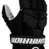 Warrior 2022 Fatboy Ball Hockey Gloves -Bauer Store FBG BK 1cdcb7f3 3ef4 4d23 9b44 ce1a4ac20b3e