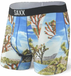 SAXX Volt Boxer Brief Joshua Tree
